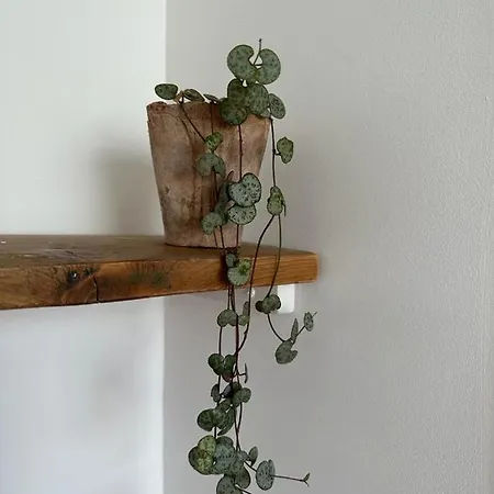 La Maison Du Tripot فندق مبيت وإفطار 3*